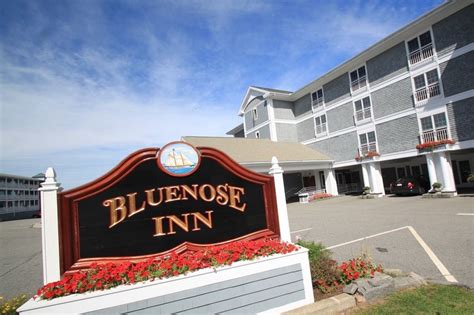 Bluenose inn - Does anyone know what The Bluenose Inn is named after? (hint: it is NOT a slang or derogatory term for a Scotsman)